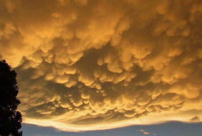 | Mimixirica/Instagram/Reprodução