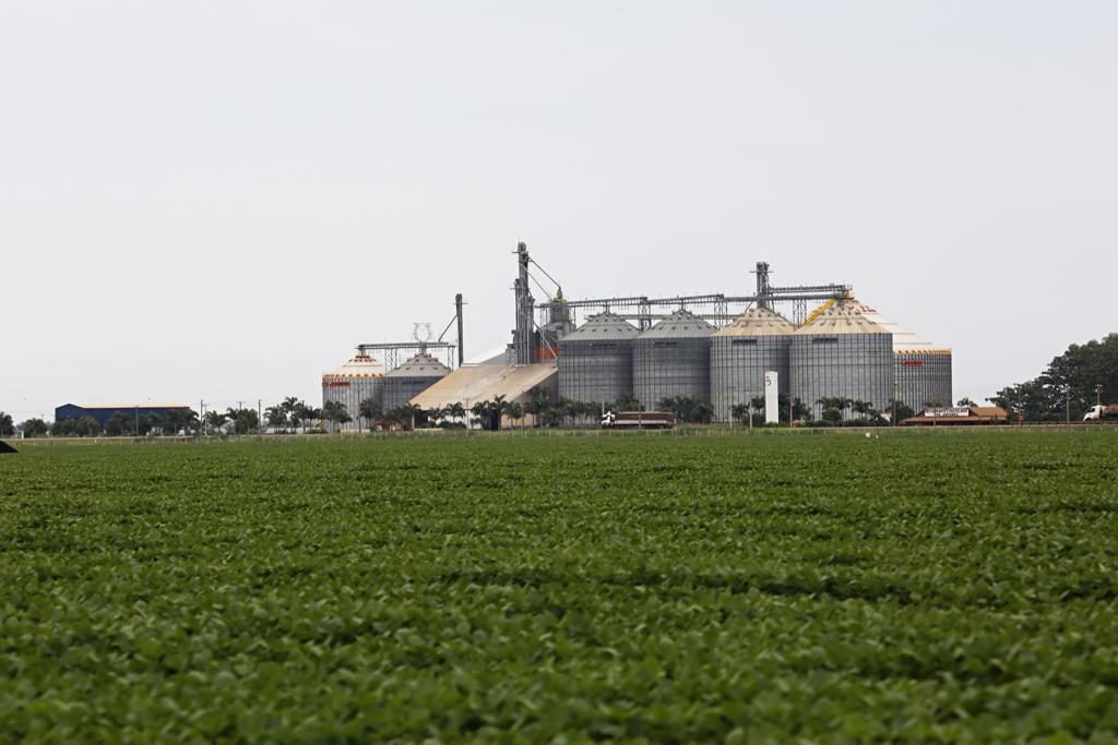  | Felipe Rosa/TRIBUNA DO PARANA