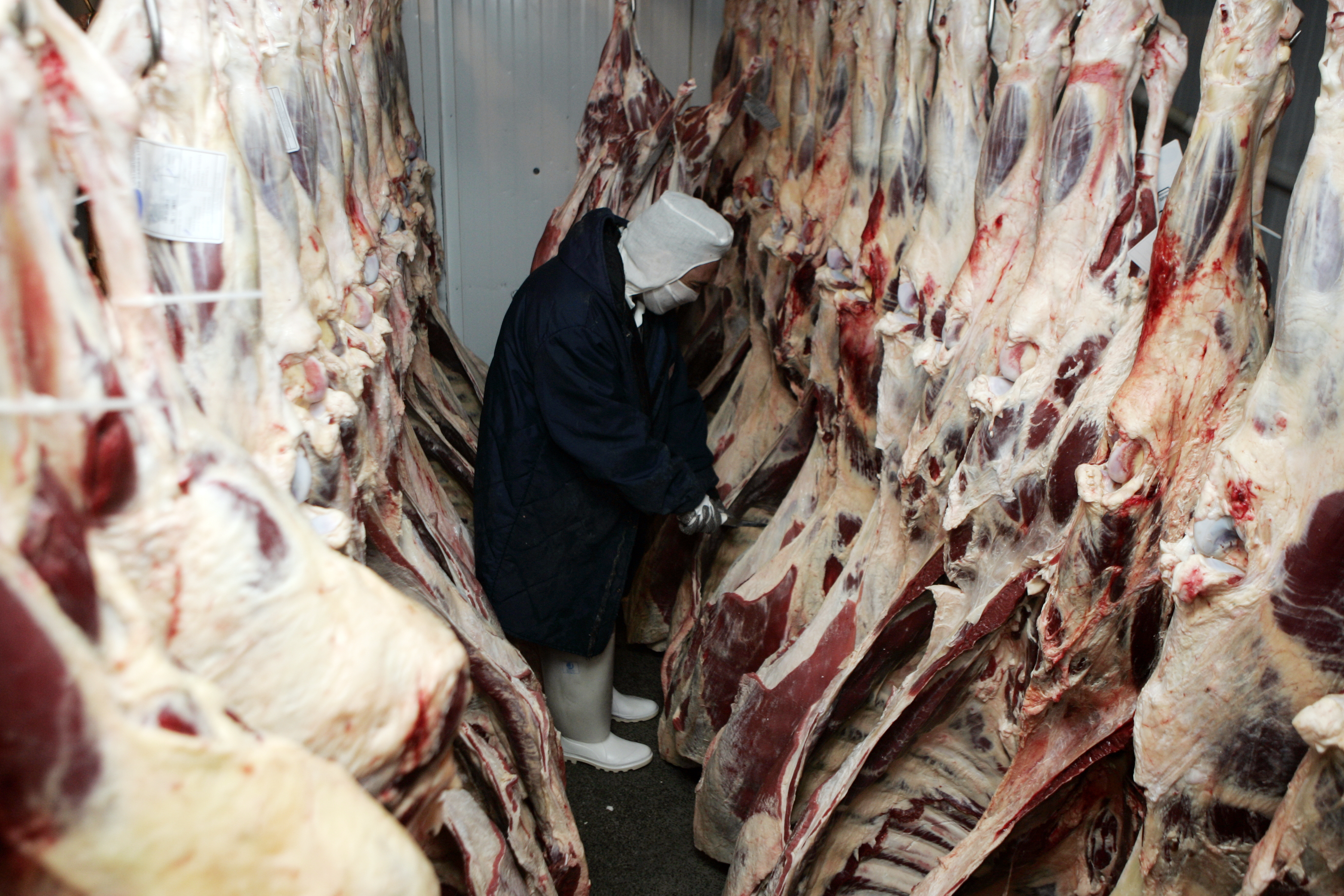 | HENRY MILLÉO / AGÊNCIA DE NOTÍCI/HENRY MILLÉO / AGÊNCIA DE NOTÍCI