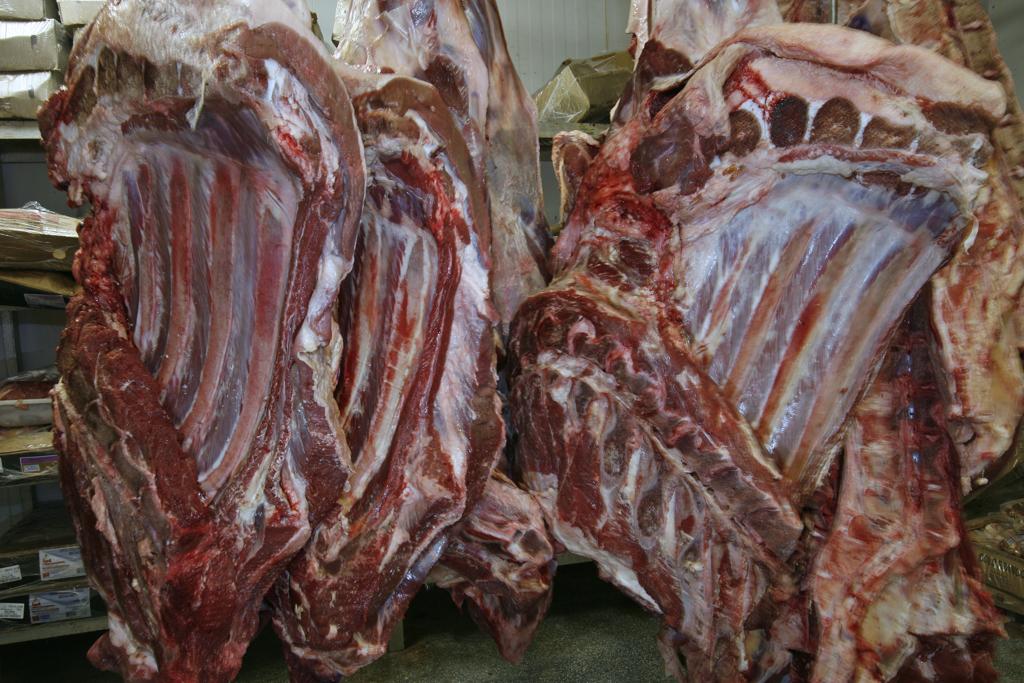 | Antônio More / Agência de Notícias Gazeta do Povo/Antônio More / Agência de Notícias Gazeta do Povo