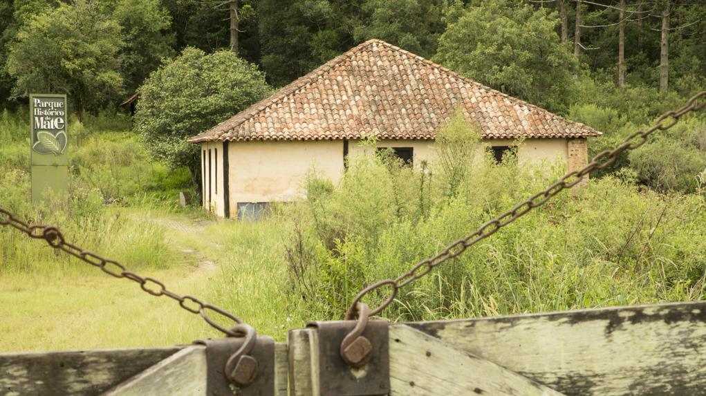 Parque Histórico do Mate, em Campo Largo: fechado para visitação desde 2011, local está abandonado e foi tomado pela vegetação. | Hugo Harada/Gazeta do Povo