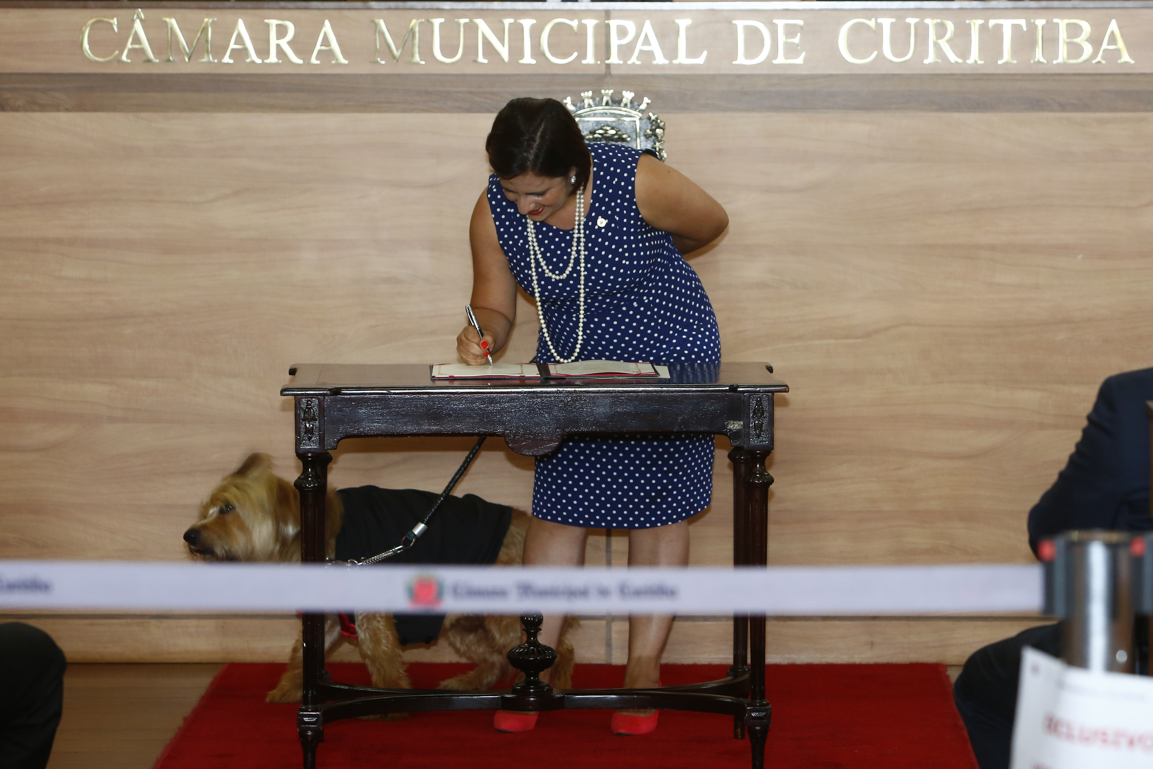 Fabiane Rosa no dia da posse: vereadora novata argumenta que os fogos de artifício podem levar os animais a quadros de ansiedade | Henry Milleo/Gazeta do Povo