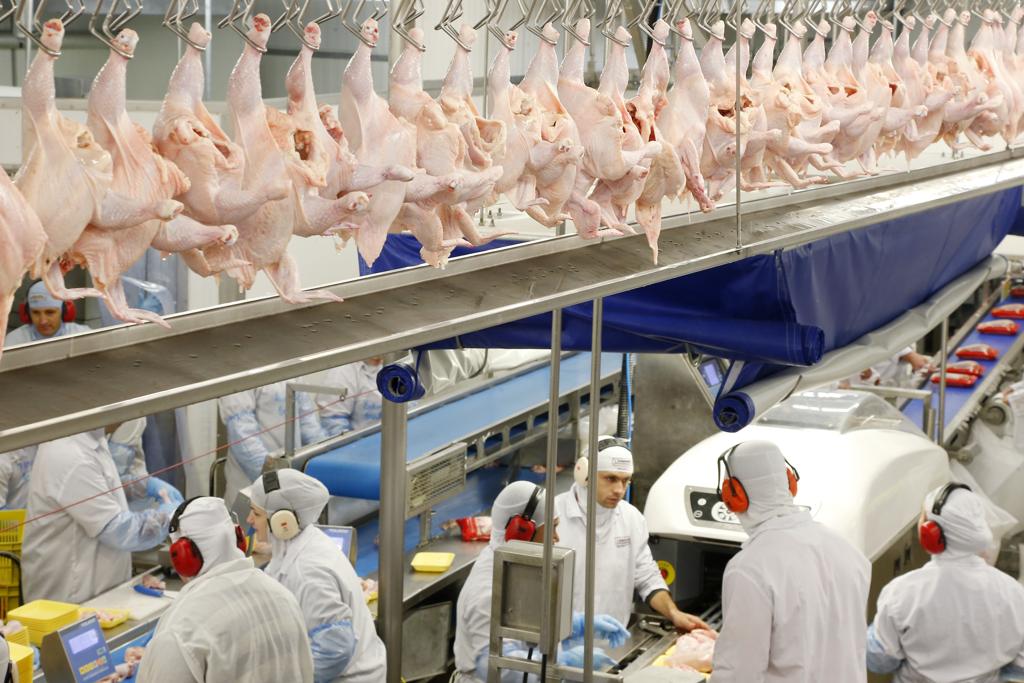 Até no caso do frango o consumo doméstico caiu, mas as exportações em alta evitaram um tombo maior. | Hugo Harada/Gazeta do Povo