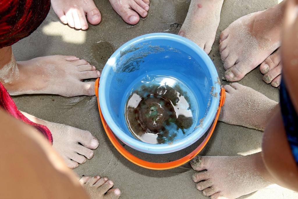 | Hugo Harada/Gazeta do Povo