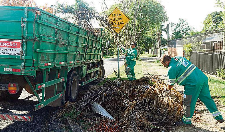 Funcionários contratados pela prefeitura removem galhos em via da regional do Boa Vista | Valdecir Galor/SMCS