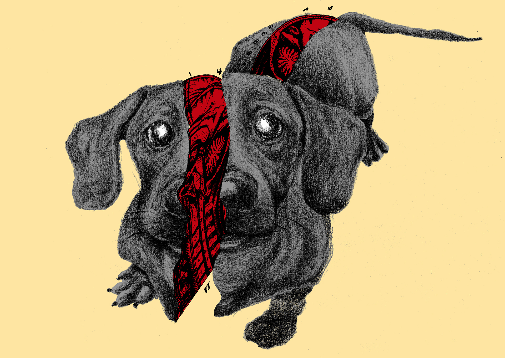 Num divórcio, quem fica com o animal de estimação? A jurisprudência dá algumas respostas para essa questão. (Leia no item 6.) |