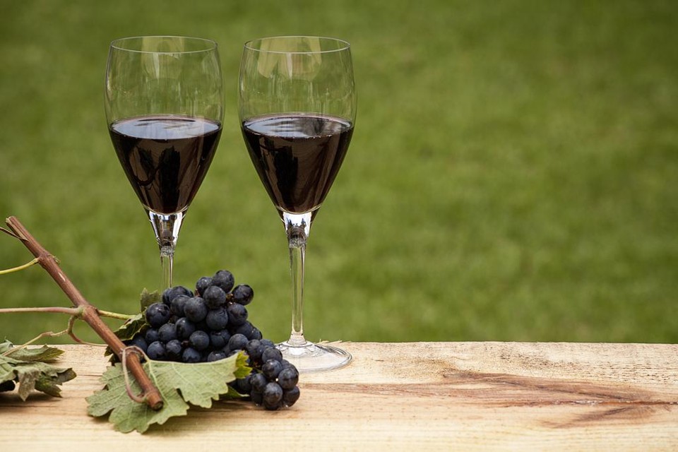 Que tal fazer seu próprio vinho? A aposta nos paranaenses vem pelo interesse e potencial produtivo observados na região. | Alexandre Mazzo/Gazeta do Povo