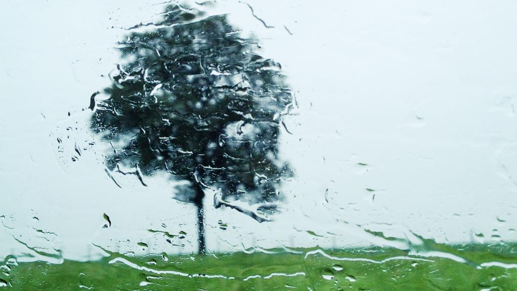 Fotografias feitas com o uso de celulares ganham exposição | Ana Karina Prado/Divulgação