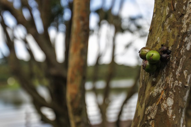| Jonathan Campos/Gazeta do Povo