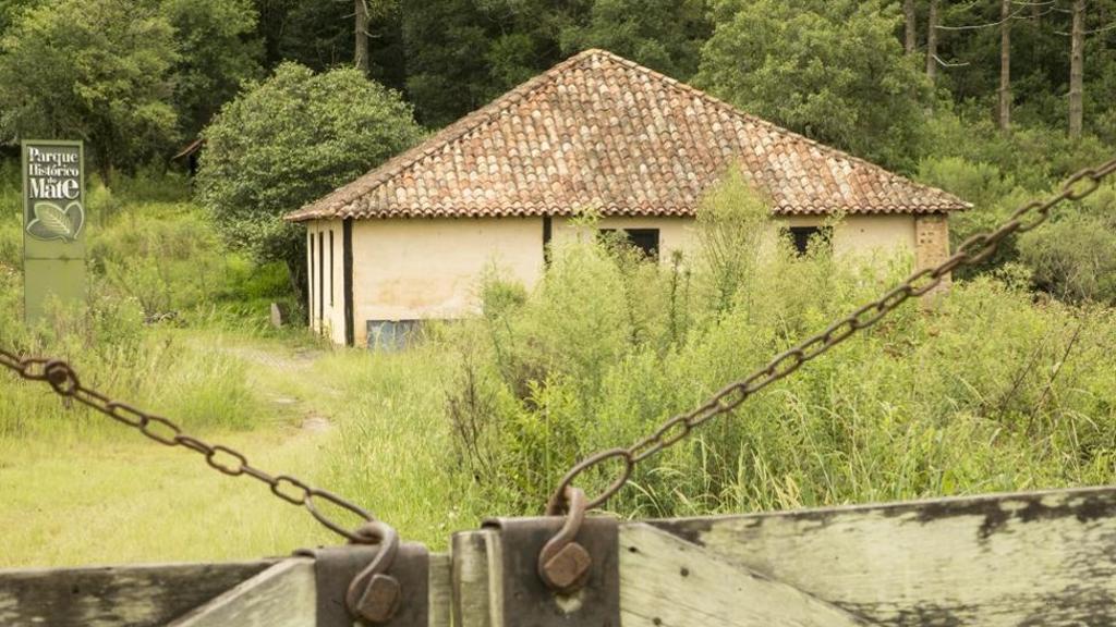 Foto feita em janeiro de 2017: vegetação alta | Hugo Harada/Gazeta do Povo