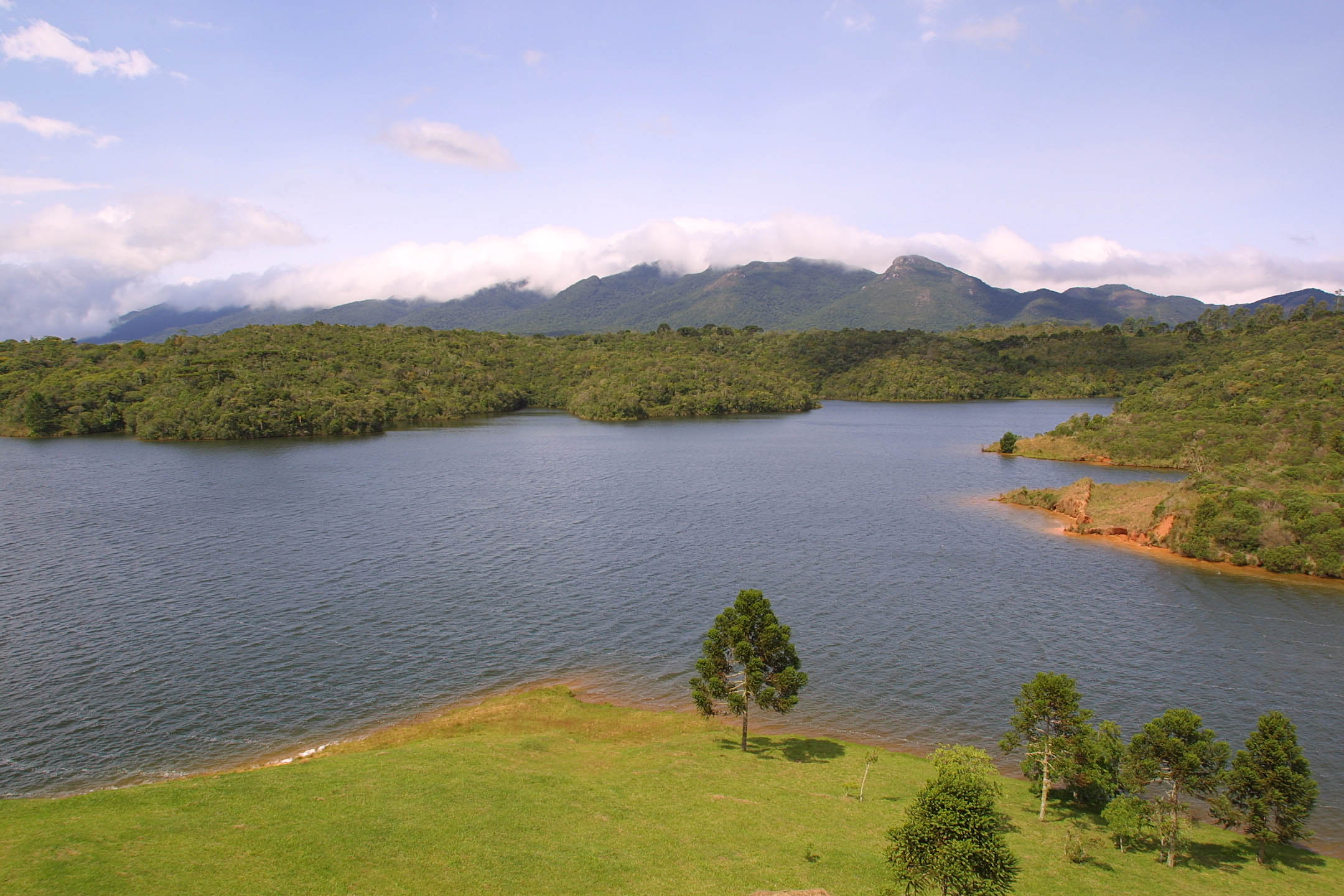 . Grupos com mais de dez pessoas são orientados a fazer agendamento por e-mail | Jonathan Campos/Gazeta do Povo/