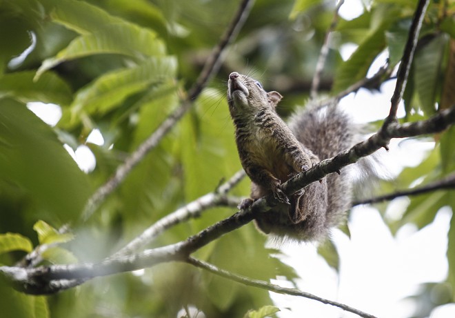 | Jonathan Campos/Gazeta do Povo
