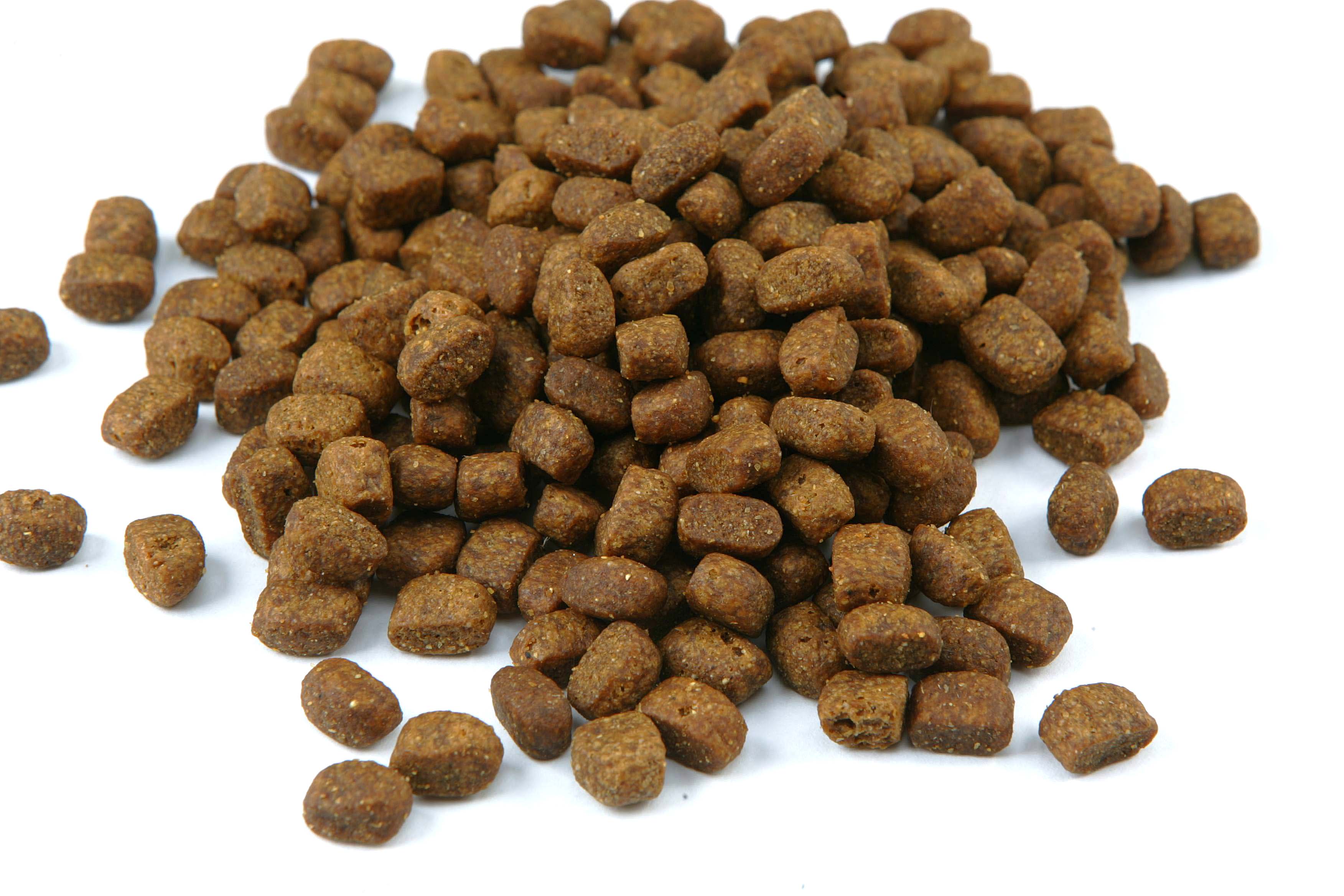  | Daniel Castellano/Gazeta do Povo/Arquivo