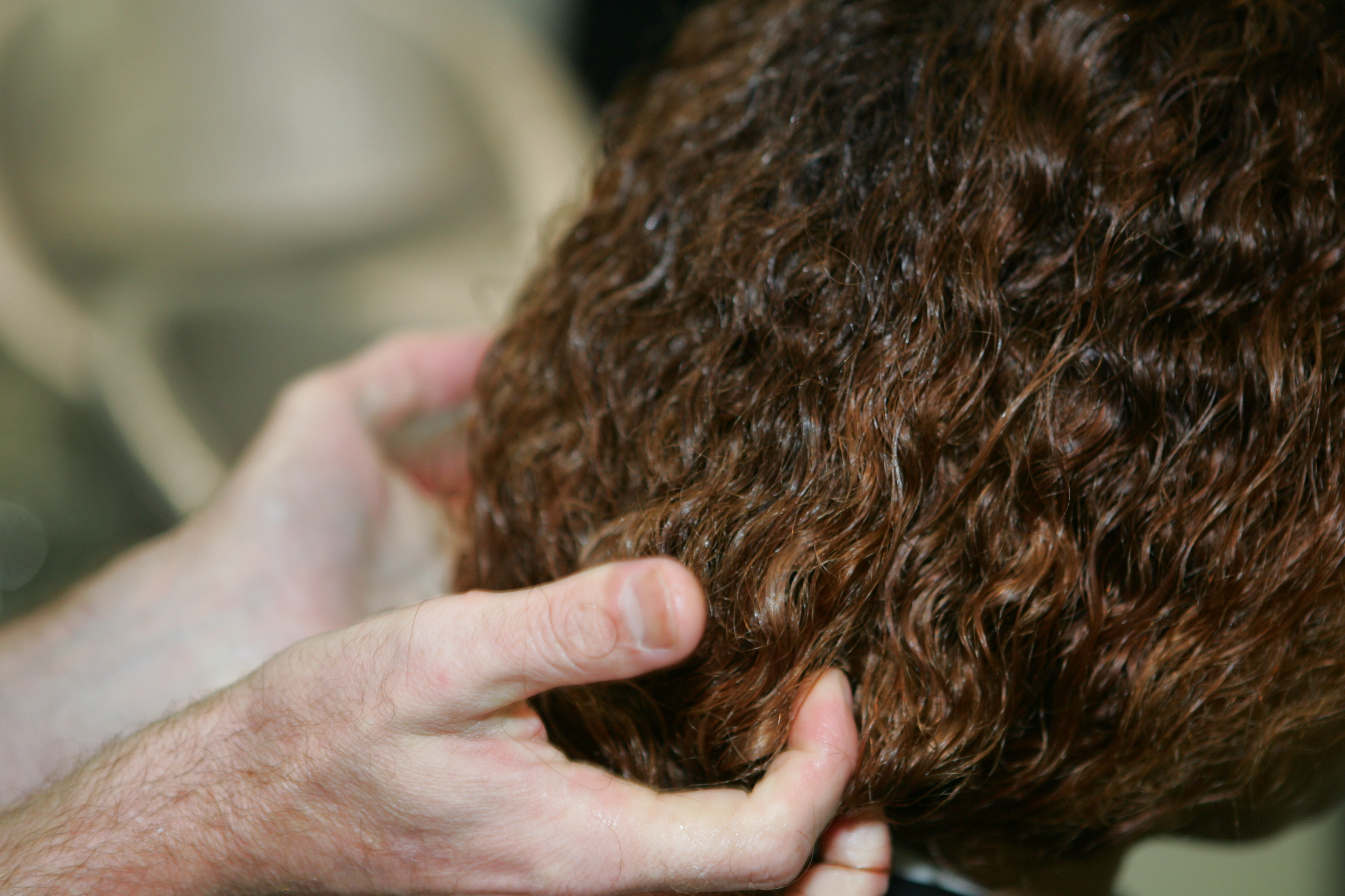 | Ivonaldo Alexandre/Gazeta do Povo