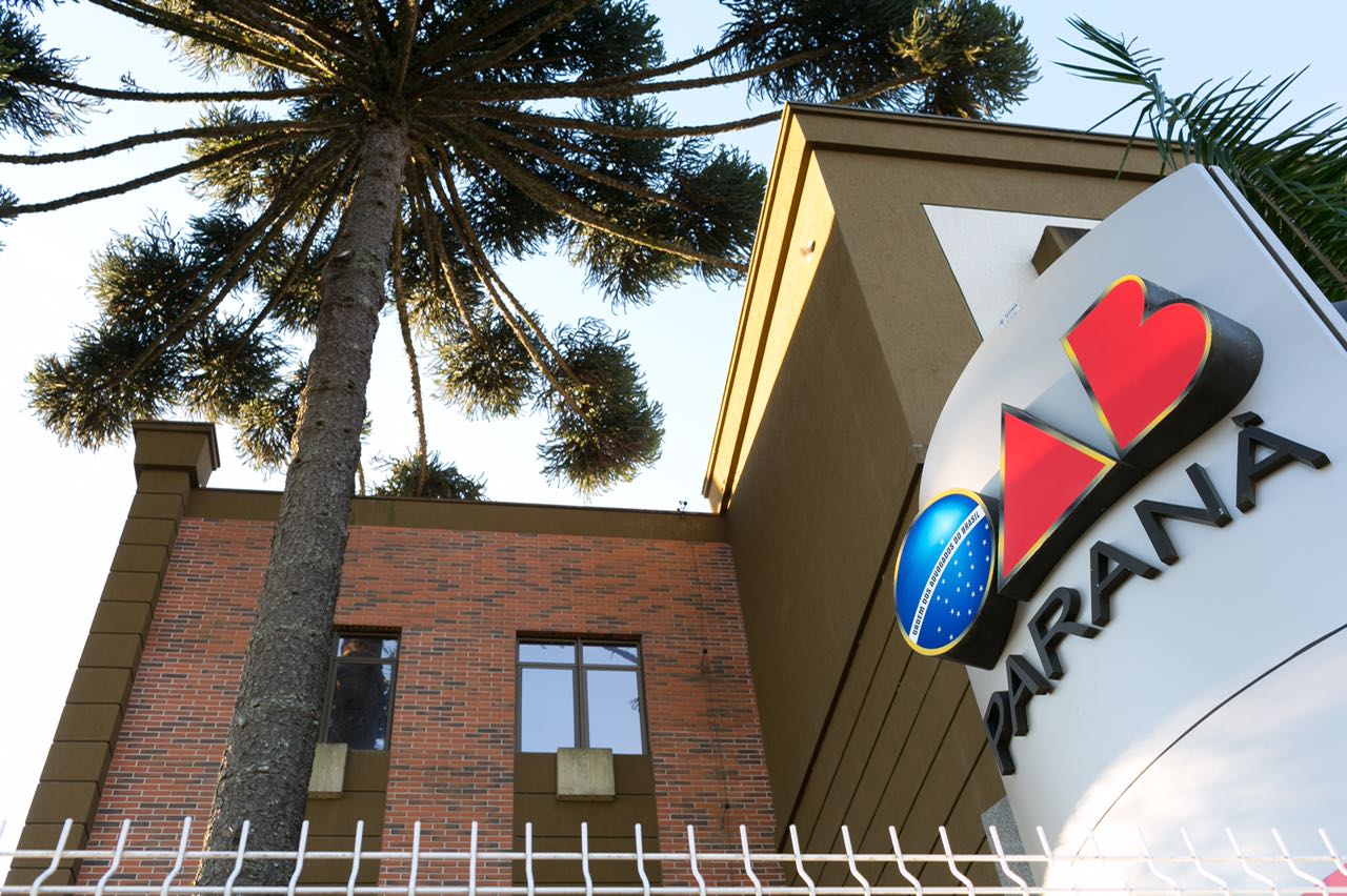 | Divulgação/OAB-PR