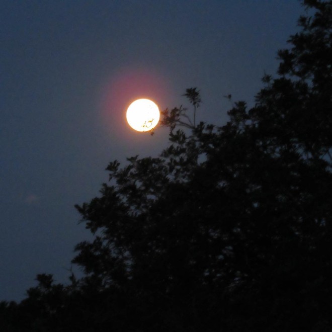 Foto enviada por #natielin, de Curitiba |