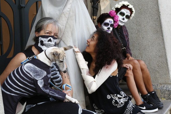 Os animais de estimação também entraram no clima nesta Zombie Walk | Aniele Nascimento/Gazeta do Povo