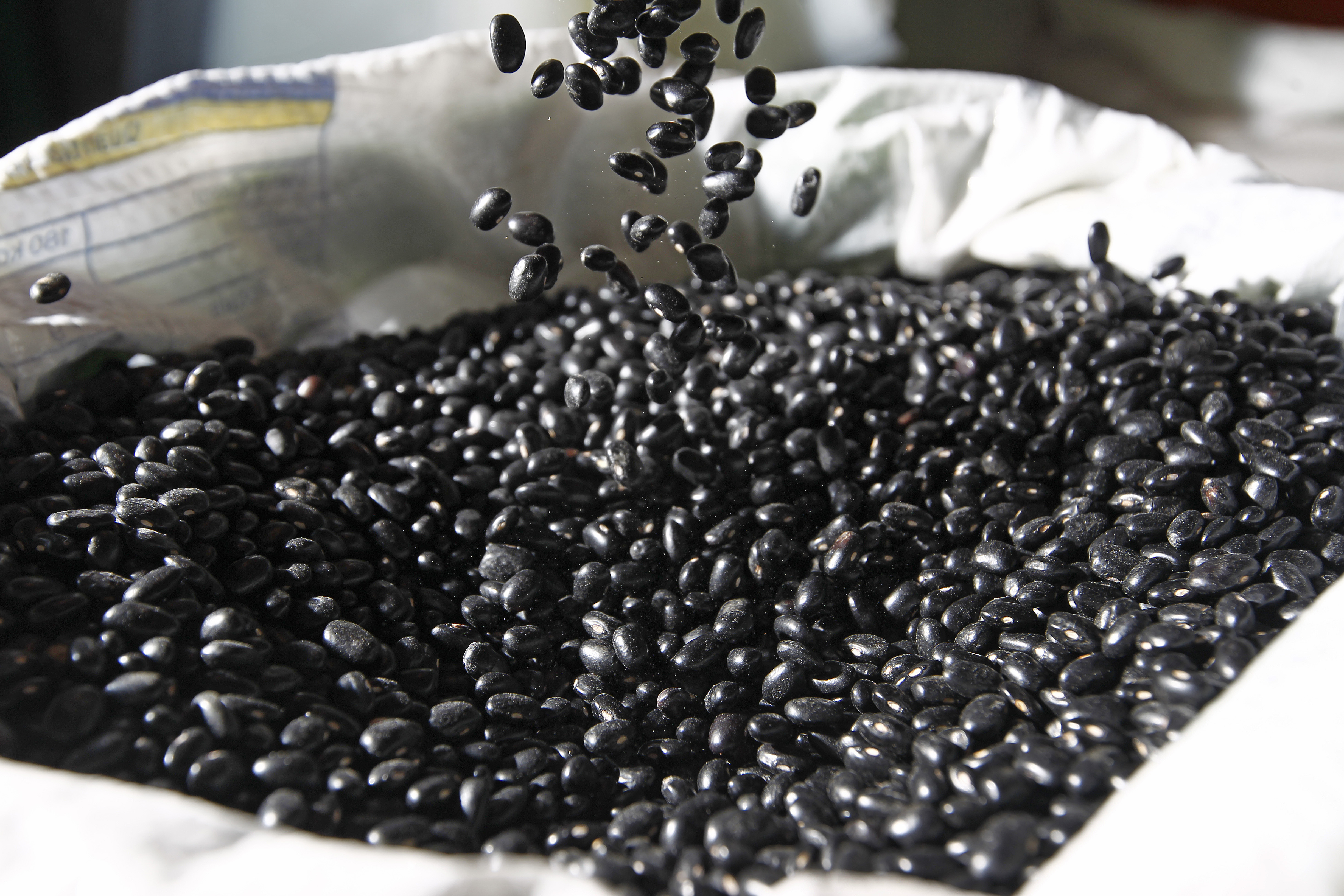 Imagem ilustrativa | Antônio More/Gazeta do Povo