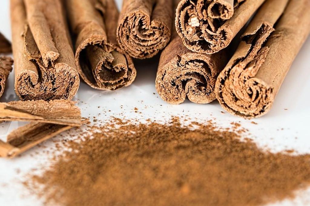 | /Pixabay/Divulgação