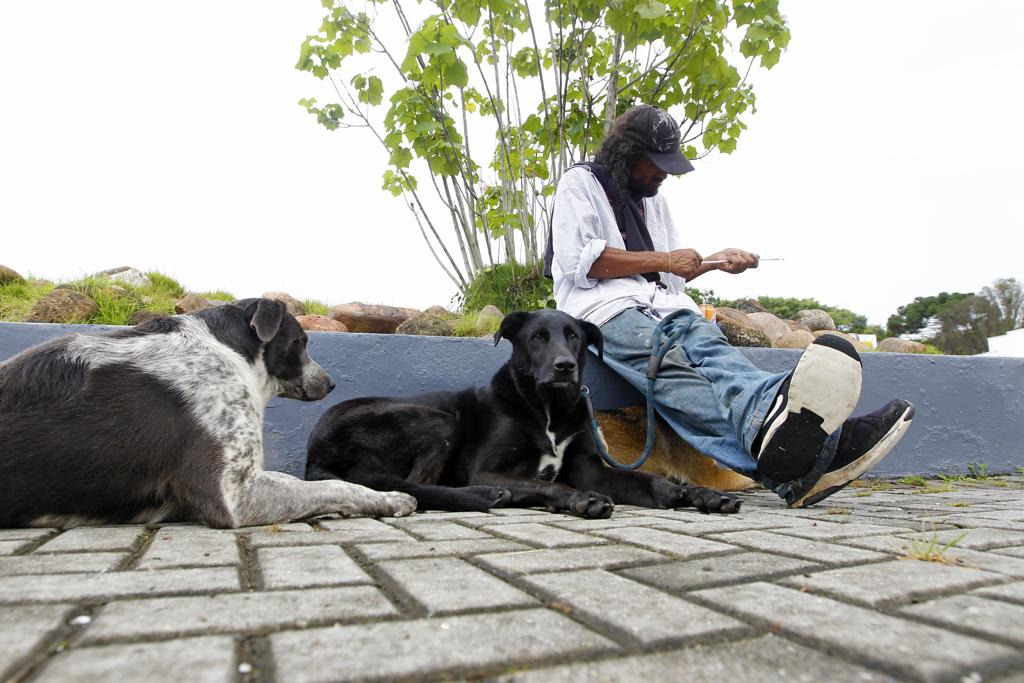 Avaliação da saúde dos animais servirá para que os moradores de rua possam levá-los  aos  equipamentos da FAS. | Antônio More/Gazeta do Povo