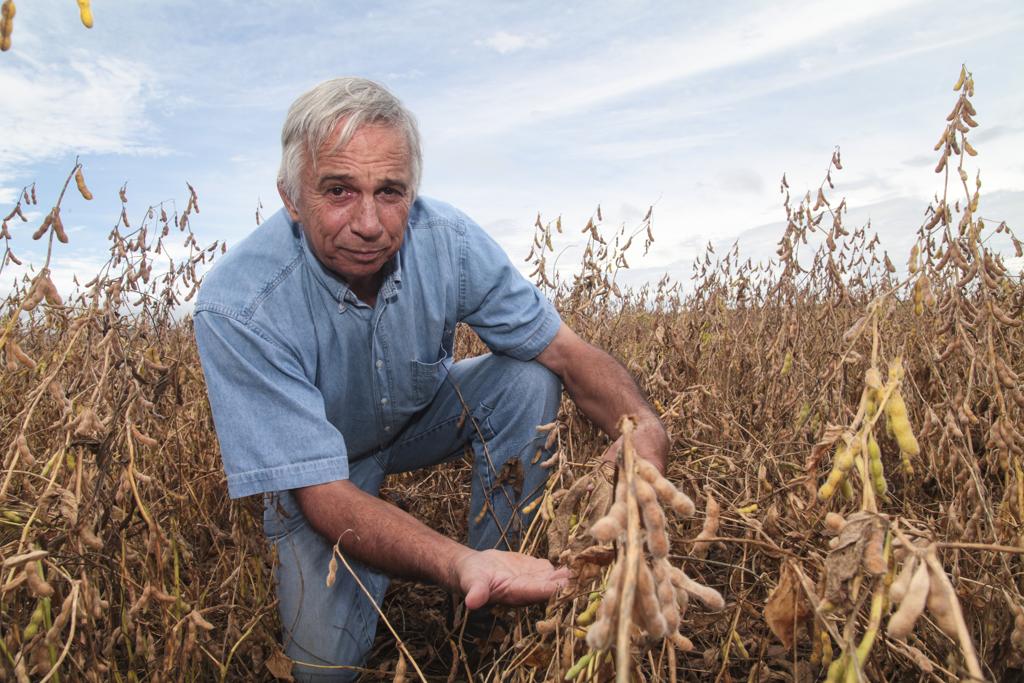 O presidente do Sindicato Rural de Dourados, Lucio Damalia, diz que a estiagem afetou a região duas vezes nesta safra. | Fotos: Rodrigo Félix Leal/Gazeta do Povo