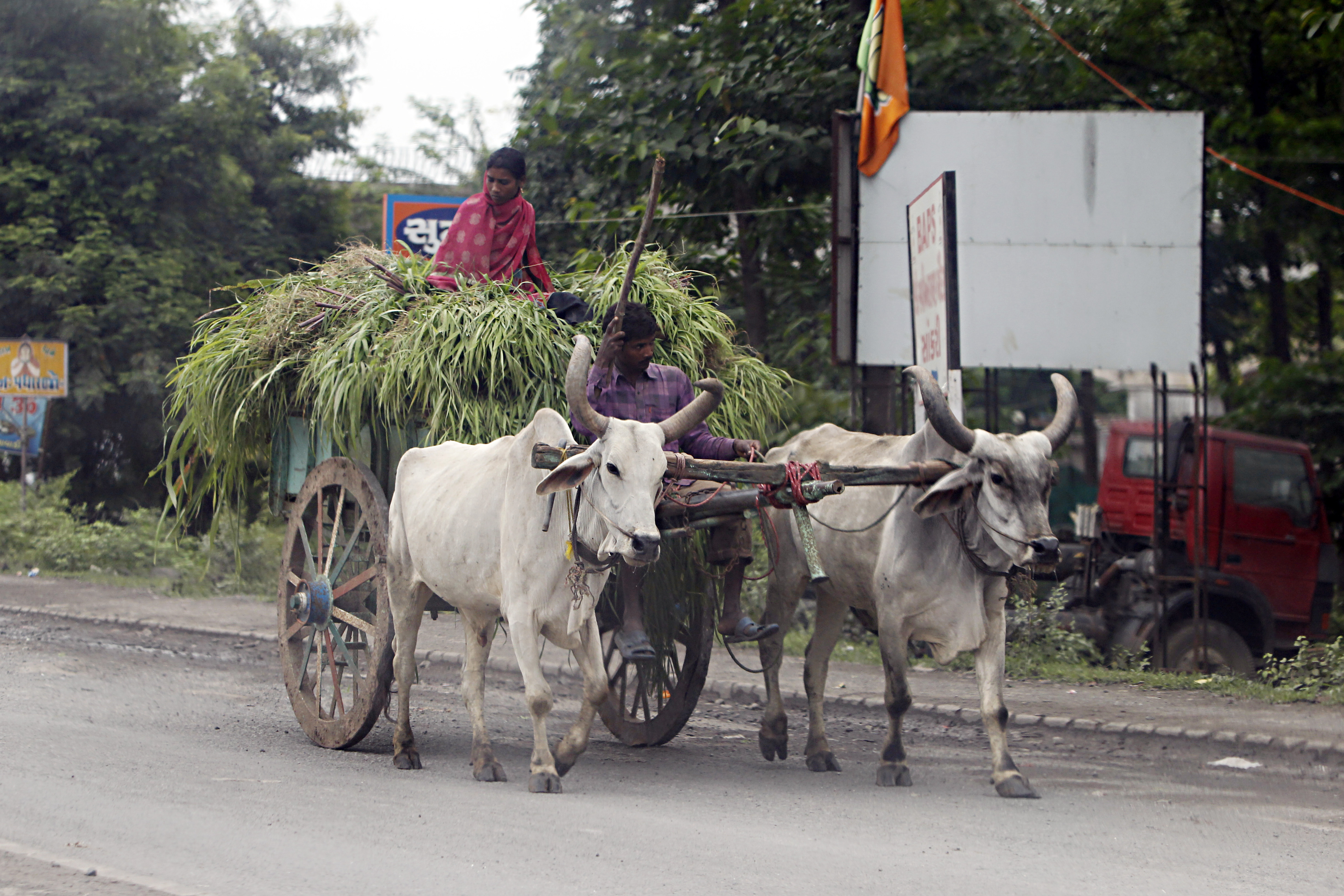 E Expedição Safra esteve na Índia, em 2013, e percorreu diversas regiões para conhecer a produção agrícola do país. | ALBARI ROSA/ALBARI ROSA
