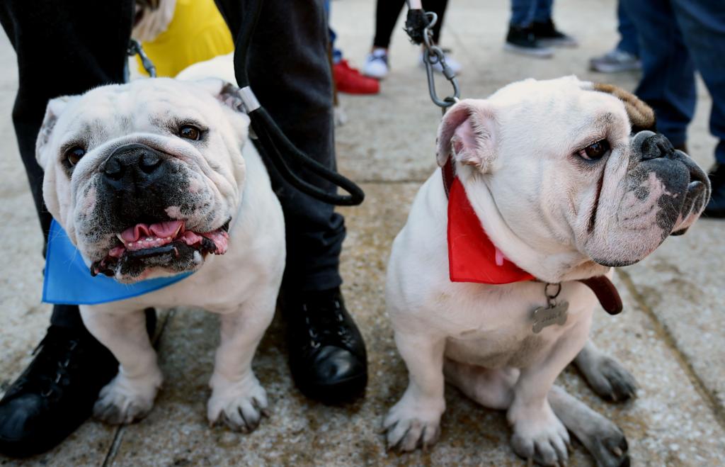 | Alfredo Estrella/AFP