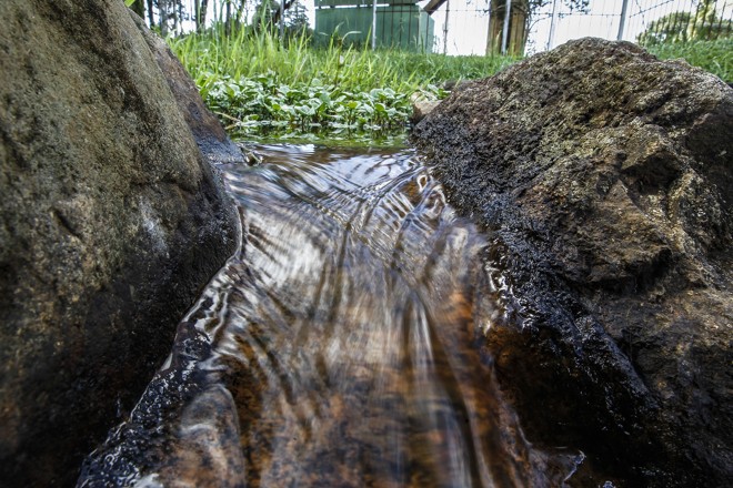 | Jonathan Campos/Gazeta do Povo