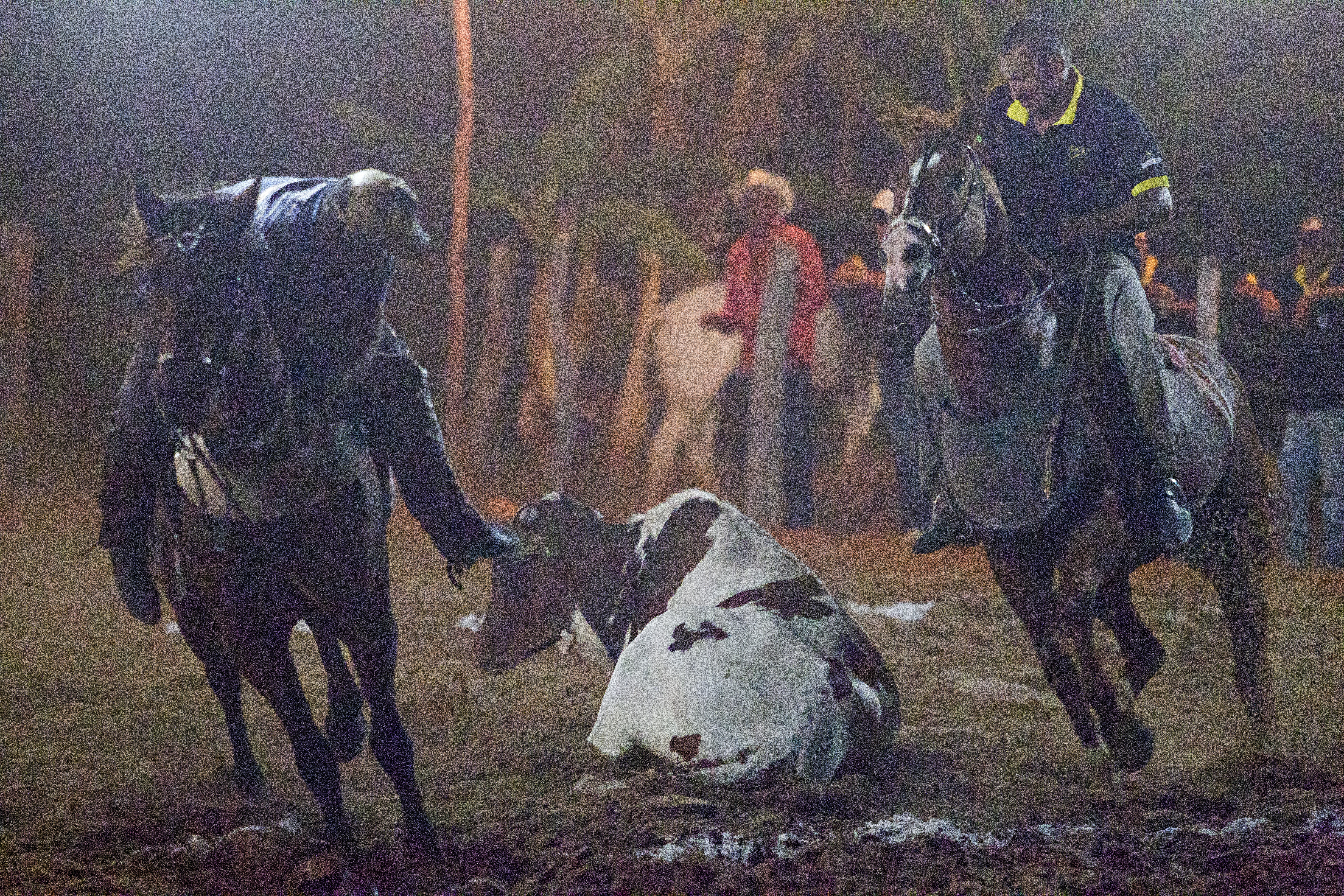 | Alexandre Mazzo/Gazeta do Povo/Arquivo