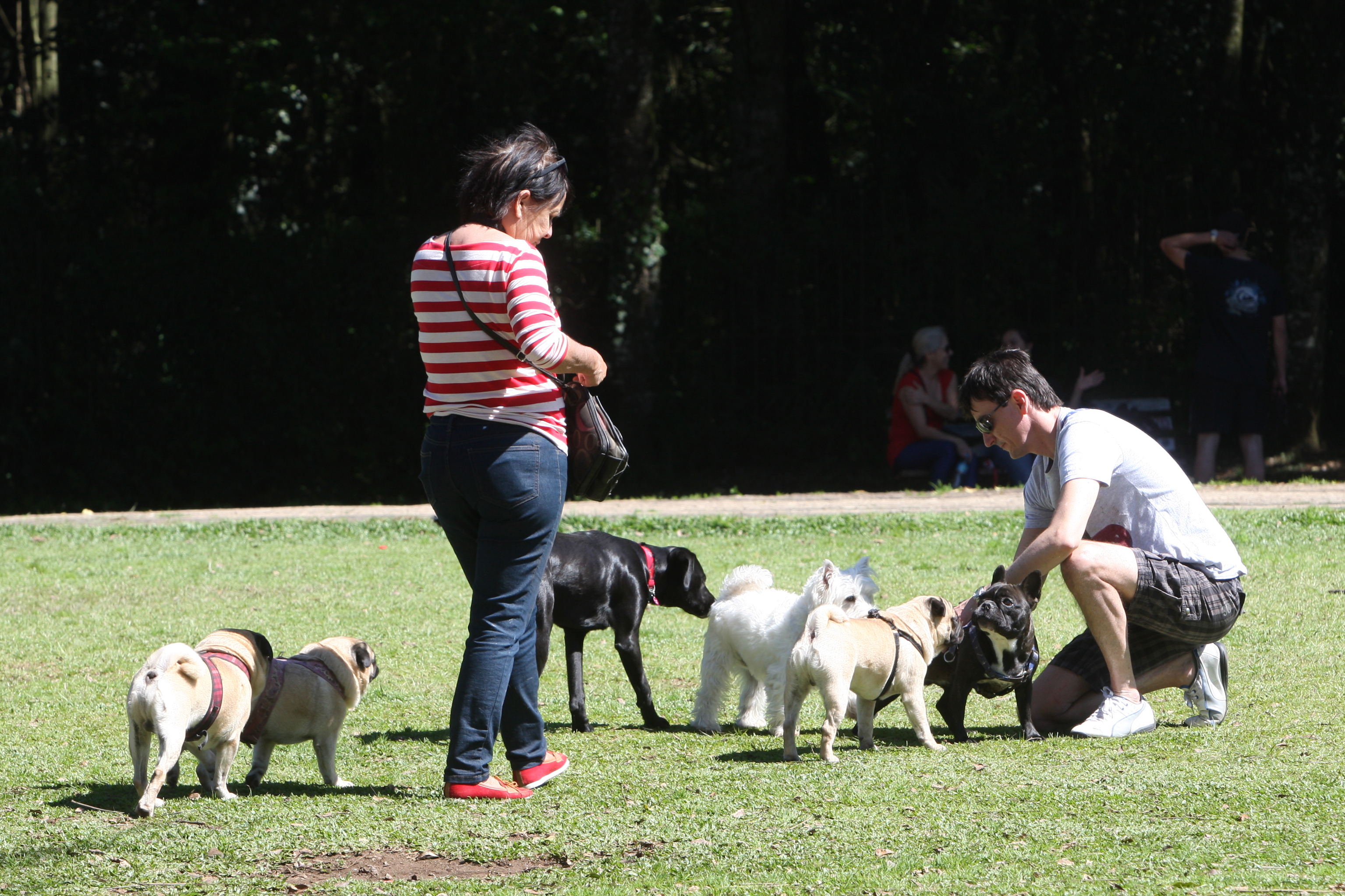 | Aniele Nascimento/Gazeta do Povo/Arquivo