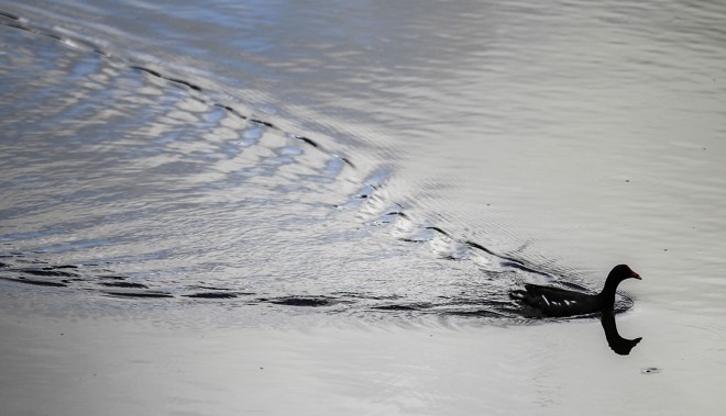 | Jonathan Campos/Gazeta do Povo