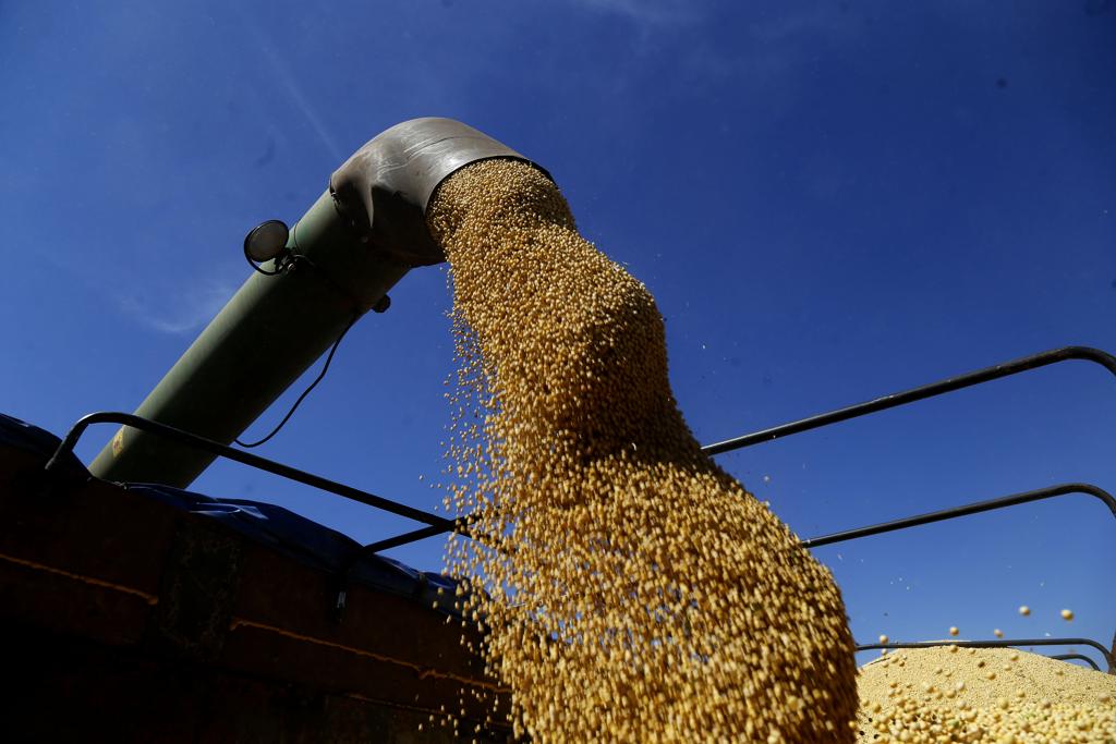 Recebimento de soja foi um dos negócios que mais cresceram na Cooperalfa em 2016. | Pedro Serapio/Gazeta do Povo