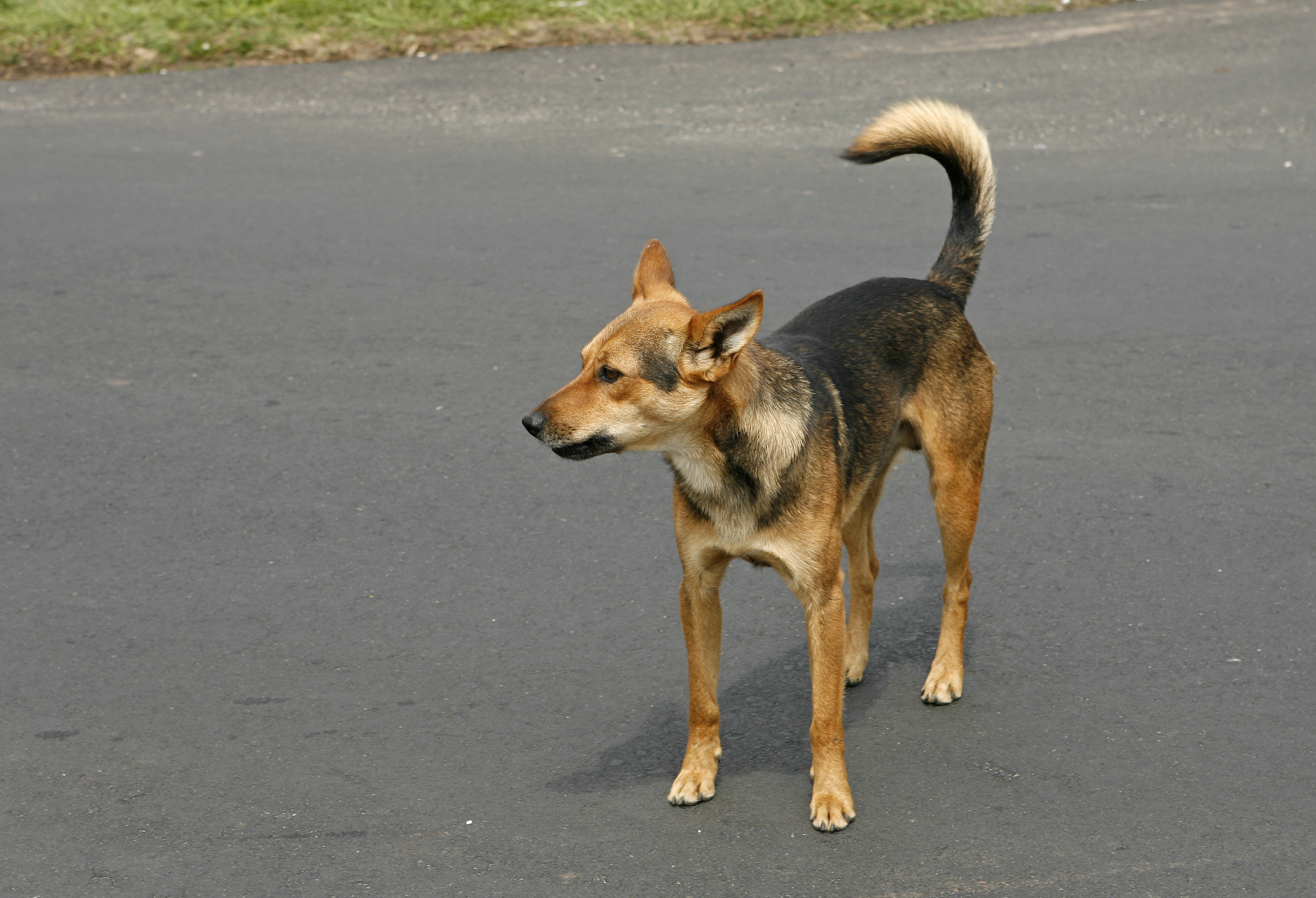 | Antônio More
/ Gazeta do Povo/Arquivo