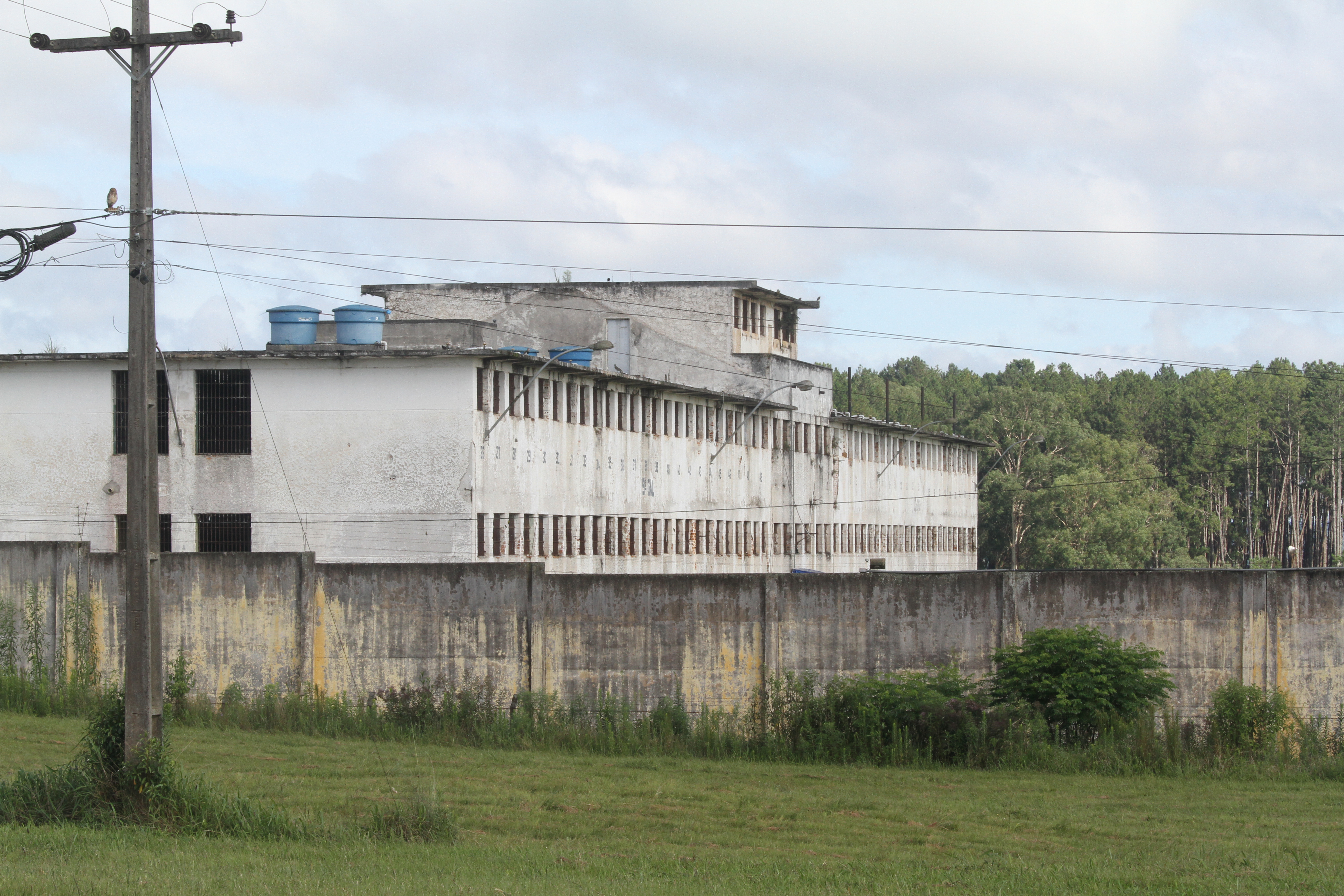 | Gerson Klaina/Tribuna do Paraná