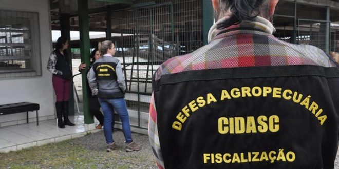 As vagas serão distribuídas por diferentes cidades catarinenses. | Divulgação/Secretaria de Agricultura