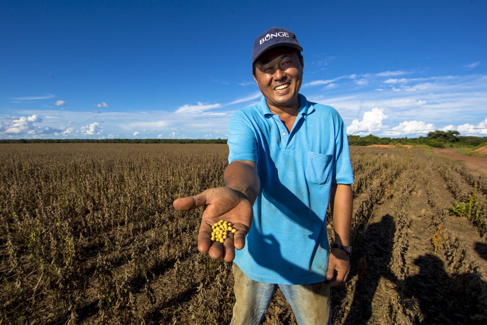 Com prejuízos sequenciais nos últimos três anos, boa parte dos produtores do Tocantins precisou tirar o pé do acelerador dos investimentos nesse ano. Foi o caso de Márcio Hironi Myaji. | Lineu Filho/Gazeta do Povo