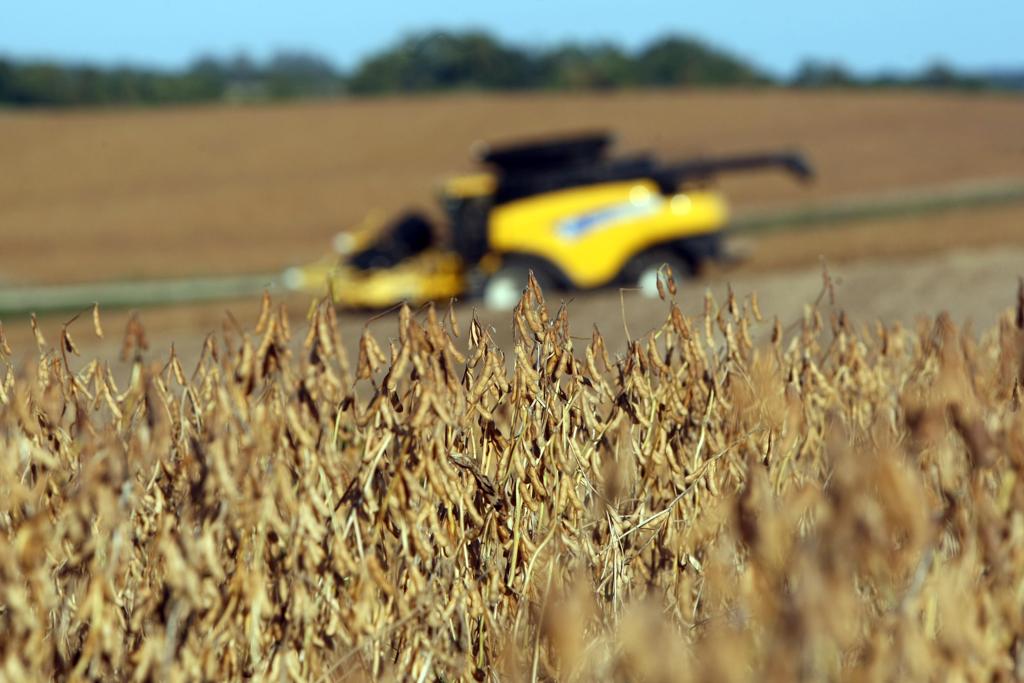 Com possibilidade de mais uma safra cheia, preços estão pressionados. | ALBARI ROSA/ALBARI ROSA
