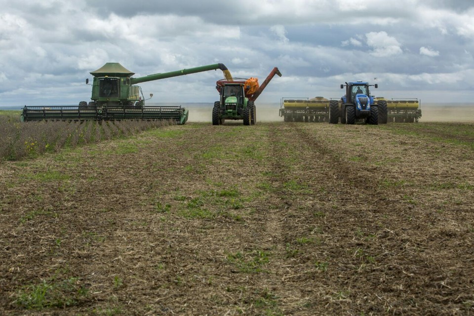 Nova Santa Rosa possui aproximadamente 60 mil hectares de lavouras e o rendimento médio deve ficar em 150 sc/ha para a soja e 150 sc/ha para o milho. | Lineu Filho/Gazeta do Povo