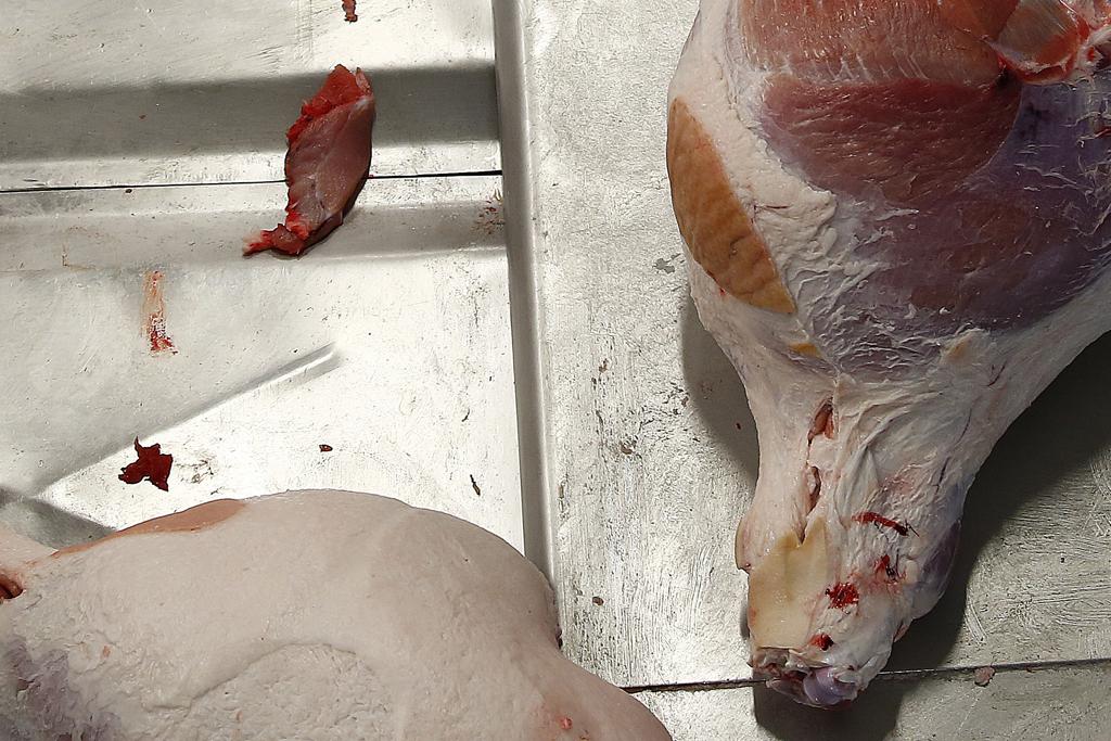 | Jonathan Campos /Gazeta do Povo