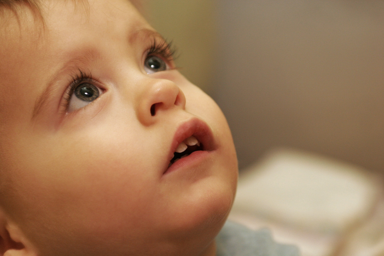 | István Turcsik/Free Images