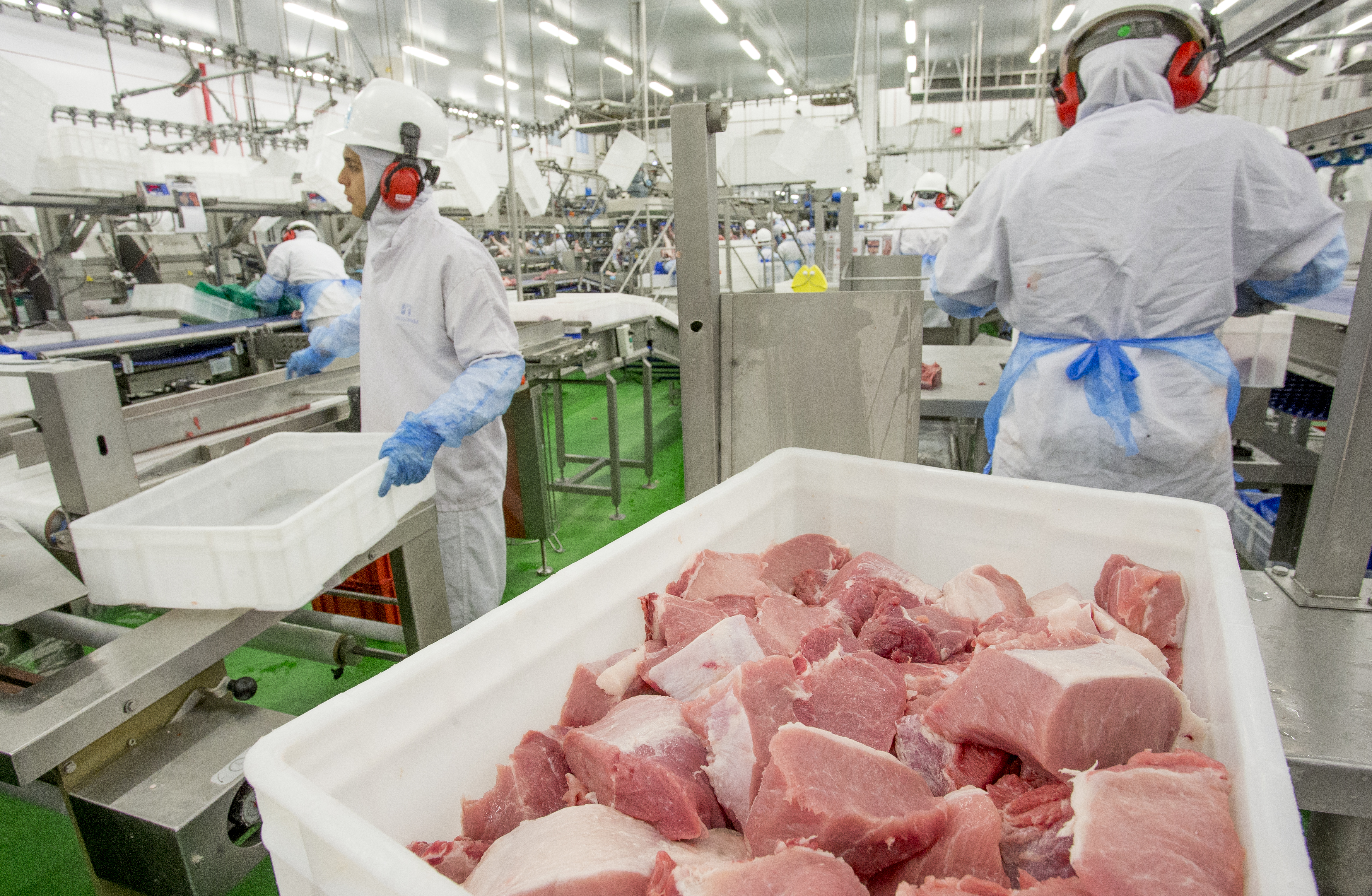 Até agora, China, Chile e Coreia do Sul anunciaram a suspensão da compra de carne brasileira e o bloco europeu suspendeu a compra de quatro empresas. | Hugo Harada/Gazeta do Povo