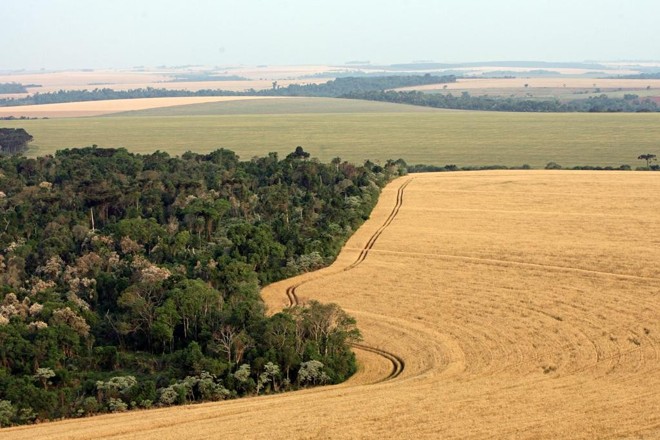 No texto, segundo o relator, será mantido um limite de até 100 mil hectares, como consta no projeto original. | Arquivo/Gazeta do Povo