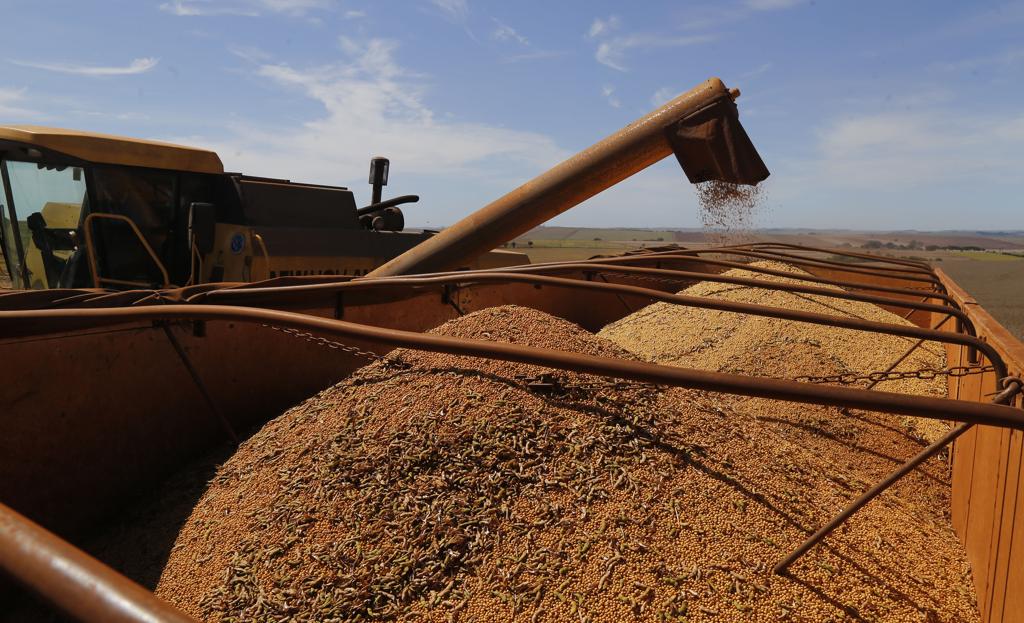 Houve redução no número de operações de custeio e aumento nas de comercialização, ficando praticamente inalterado o montante de investimentos. | Pedro Serapio/Gazeta do Povo