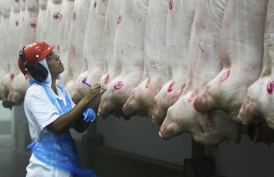 Cabeça suína não faz mal à saúde; confira esse e outros mitos da operação Carne Fraca Segundo o presidente da Agência de Defesa Agropecuária do Paraná (Adapar), Inácio Afonso Kroetz, o uso da cabeça suína até pode ser uma fraude econômica, mas não é uma questão sanitária. | Daniel Castellano/Gazeta do Povo