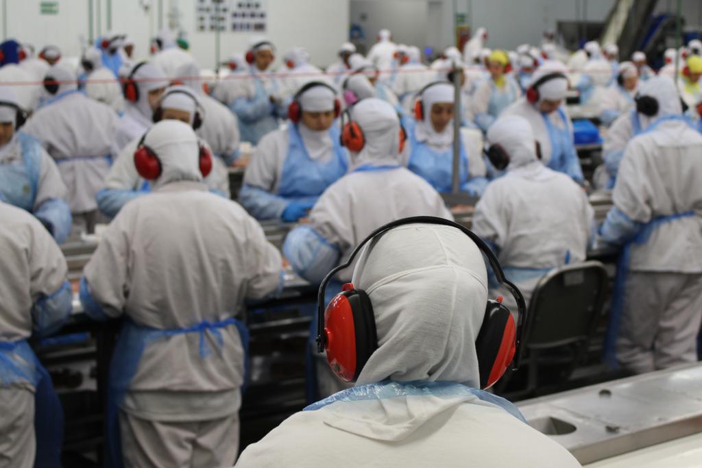 A JBS abate cerca de 35 mil cabeças de gado, o equivalente a mais de 40% da produção brasileira. | Divulgação/MPT