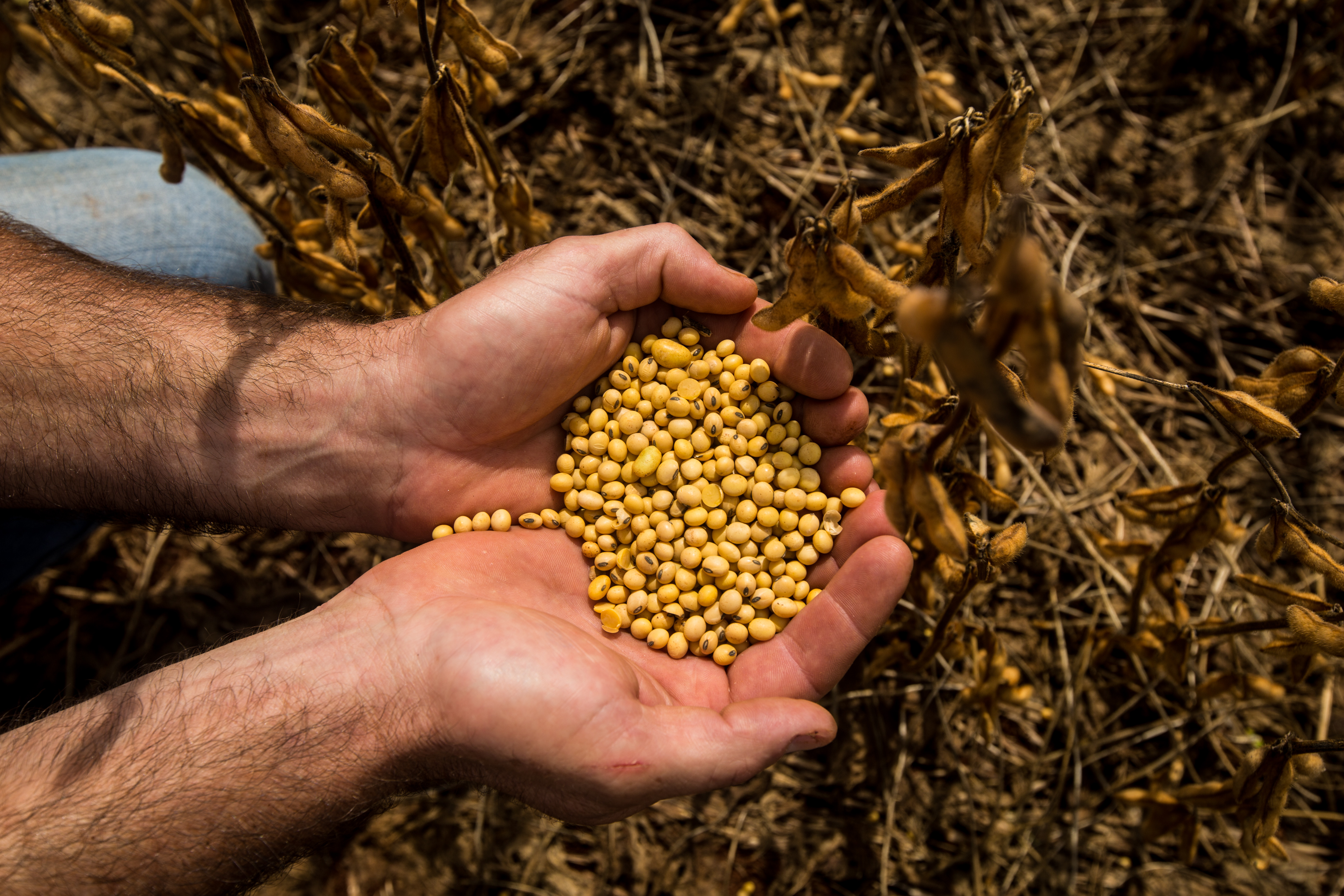 | Brunno Covello/Gazeta do Povo