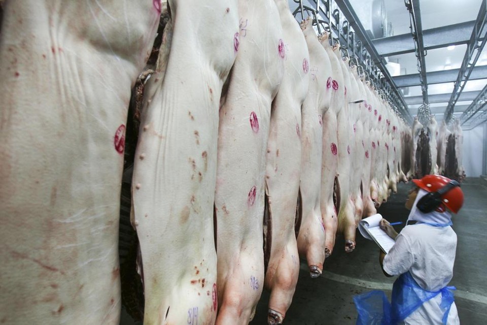 De acordo com a ABPA - que representa as empresas dos setores de carnes suínas e de aves - , as regras brasileiras não provocam conflito de interesse. | Daniel Castellano/Gazeta do Povo