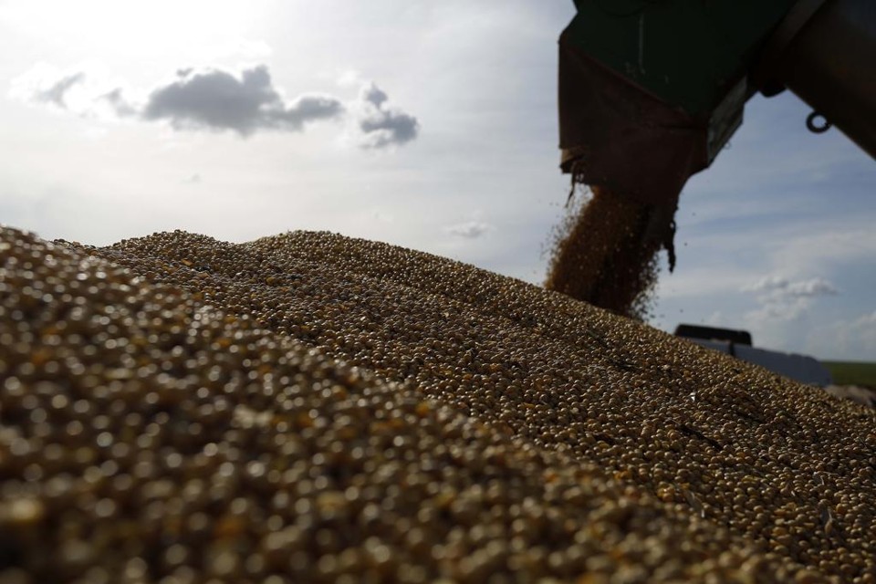 Depois de perder a posição e admitir a liderança do Brasil no ciclo anterior, os norte-americanos voltaram a exportar mais soja que o Brasil. | Jonathan Campos/Gazeta do Povo