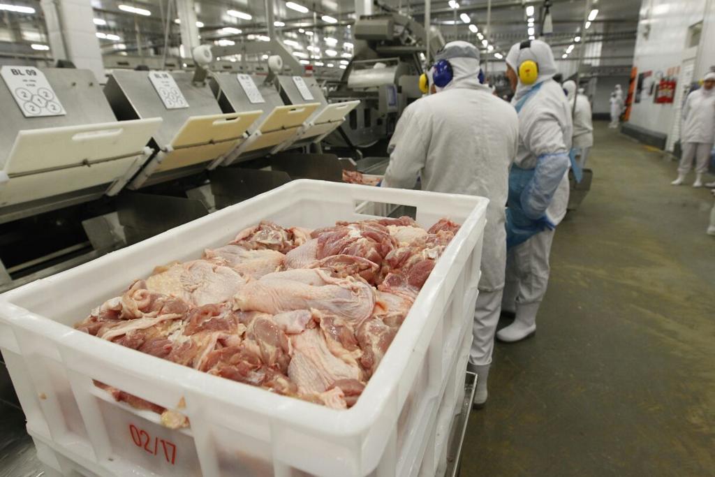 Das quatro unidades bloqueadas pela Suíça, duas são de aves, uma de carne bovina e outra de equídeos. | Jonathan Campos/Gazeta do Povo