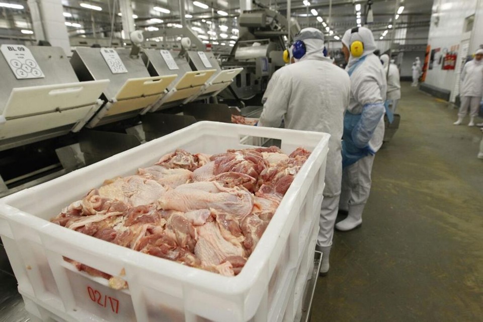 Das quatro unidades bloqueadas pela Suíça, duas são de aves, uma de carne bovina e outra de equídeos. | Jonathan Campos/Gazeta do Povo